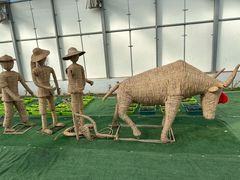 -兴芮温泉度假区