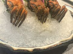 -福玺荟(外滩罗斯福店)