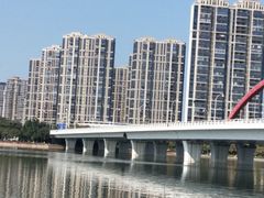 -五缘湾湿地公园