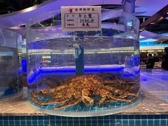 -一方渔歌蒸汽海鲜自助(文化路万达广场店)