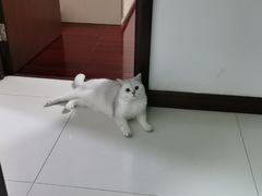 -宠颐生动物医院·小陆分院