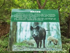 -湖洞水自然风景区
