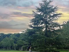 -杭州城北体育公园