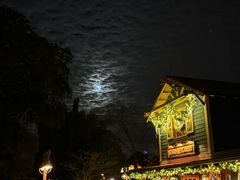 -奥兰多迪士尼动物王国乐园