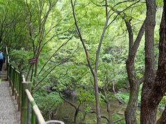 -少华山国家森林公园