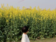 -中国天府农业博览园