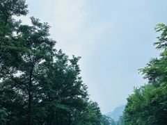 -玉渡山自然风景区