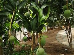 -南通洲际绿博园