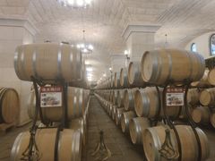 -北京张裕爱斐堡酒庄