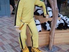 -济州岛泰迪熊博物馆