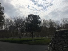 -白塘生态植物园