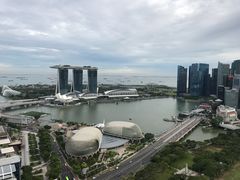 阳台拍的风景-新加坡瑞士史丹福酒店