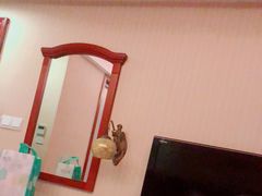 -维也纳酒店(罗湖口岸国贸东门店)