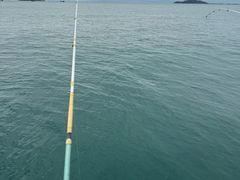 -小猫钓鱼海钓俱乐部(椰梦长廊店)