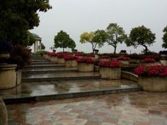 -上海都市菜园