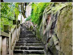 -龙泉洞(沙坪坝区)