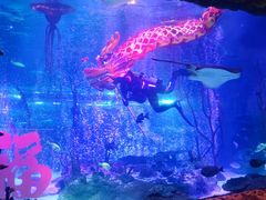 -沈阳海洋探索中心