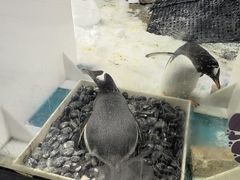 -正佳极地海洋世界