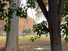 -河南省黄河迎宾馆