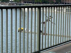 -科隆霍亨索伦桥爱情锁