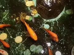 -天伦松鹤大饭店·欣妮咖啡