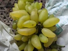 -马陆小张葡萄园农家乐