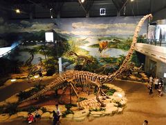 -自贡恐龙博物馆