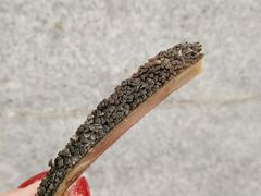-姚记肚包肉(牛街春风社区店)