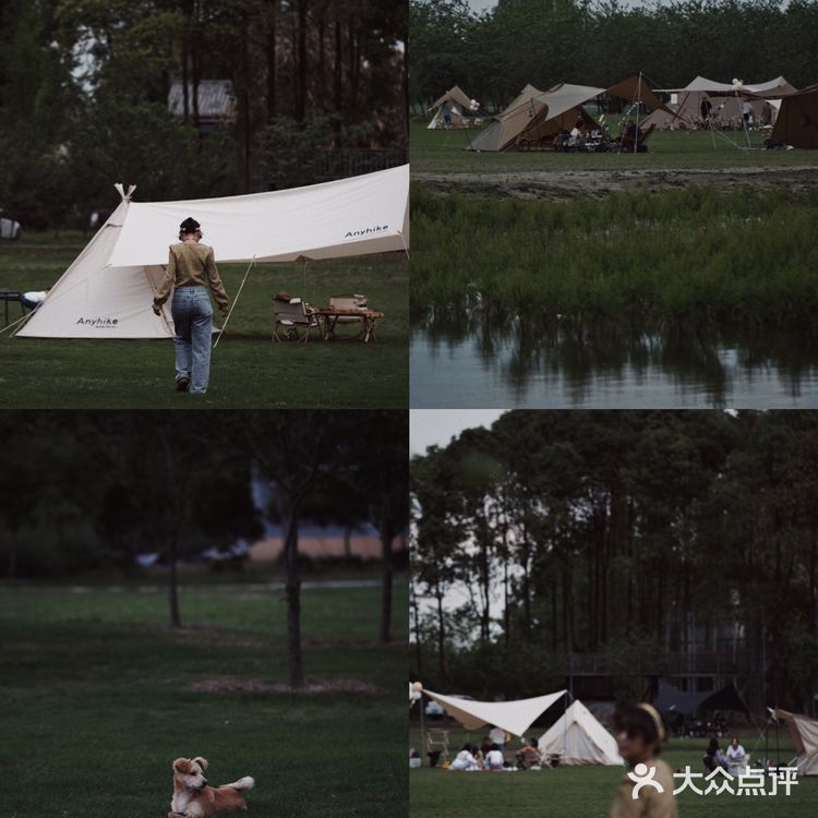 成都郊游 | 新都竟然藏着可以露营的小森林🏕️