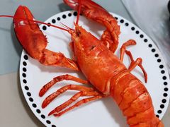 波士顿龙虾-盒马鲜生(曜一城店)