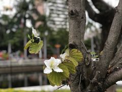 -金砂公园