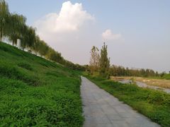 -洨河生态公园