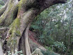 -丰都鬼城名山景区