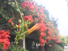 -河南中州皇冠假日酒店
