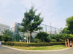 -青枫公园