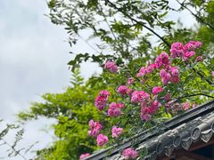 -观山湖公园