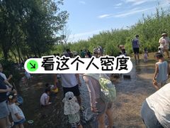 -绿堤公园