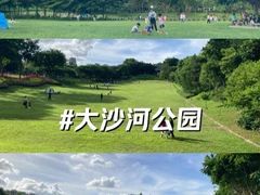 -大沙河公园