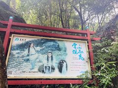-百杖潭景区