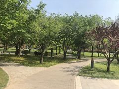 -唐城墙遗址公园