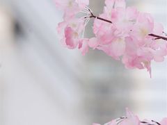 -金茂览秀城