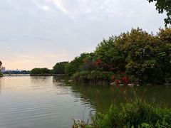 -海珠湖公园