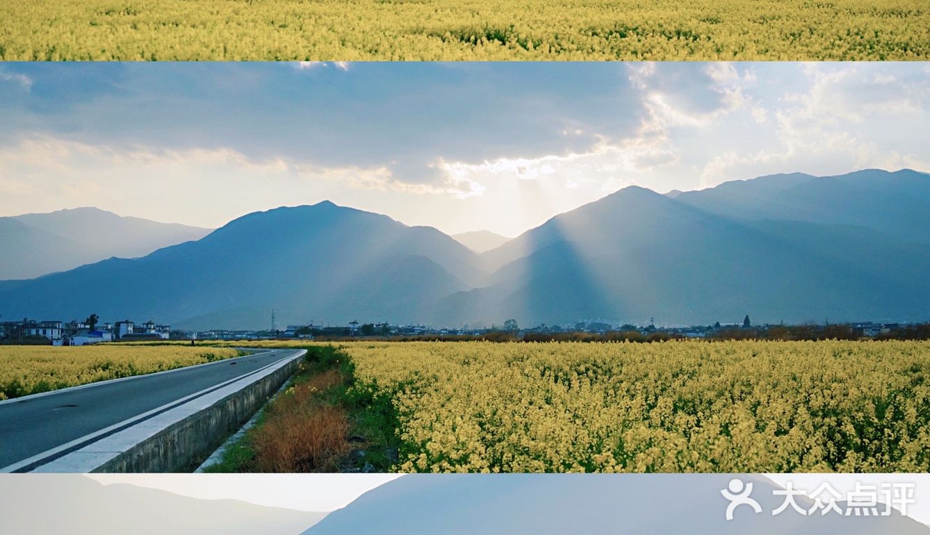 大理旅行|喜洲油菜花田，好像来到宫崎骏的世界