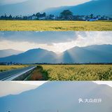 大理旅行|喜洲油菜花田，好像来到宫崎骏的世界