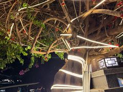 -海韵人家.海景花园经典云南菜(双廊店)