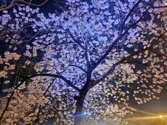 -红星桥(地铁站)