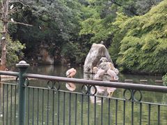 -昆明动物园