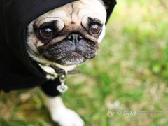 -一鸣真鲜奶吧(景城花园奶吧)