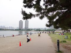 -台场海滨公园船码头