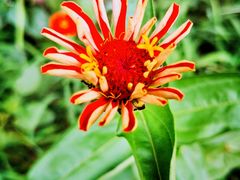 -天津东丽湖风景区